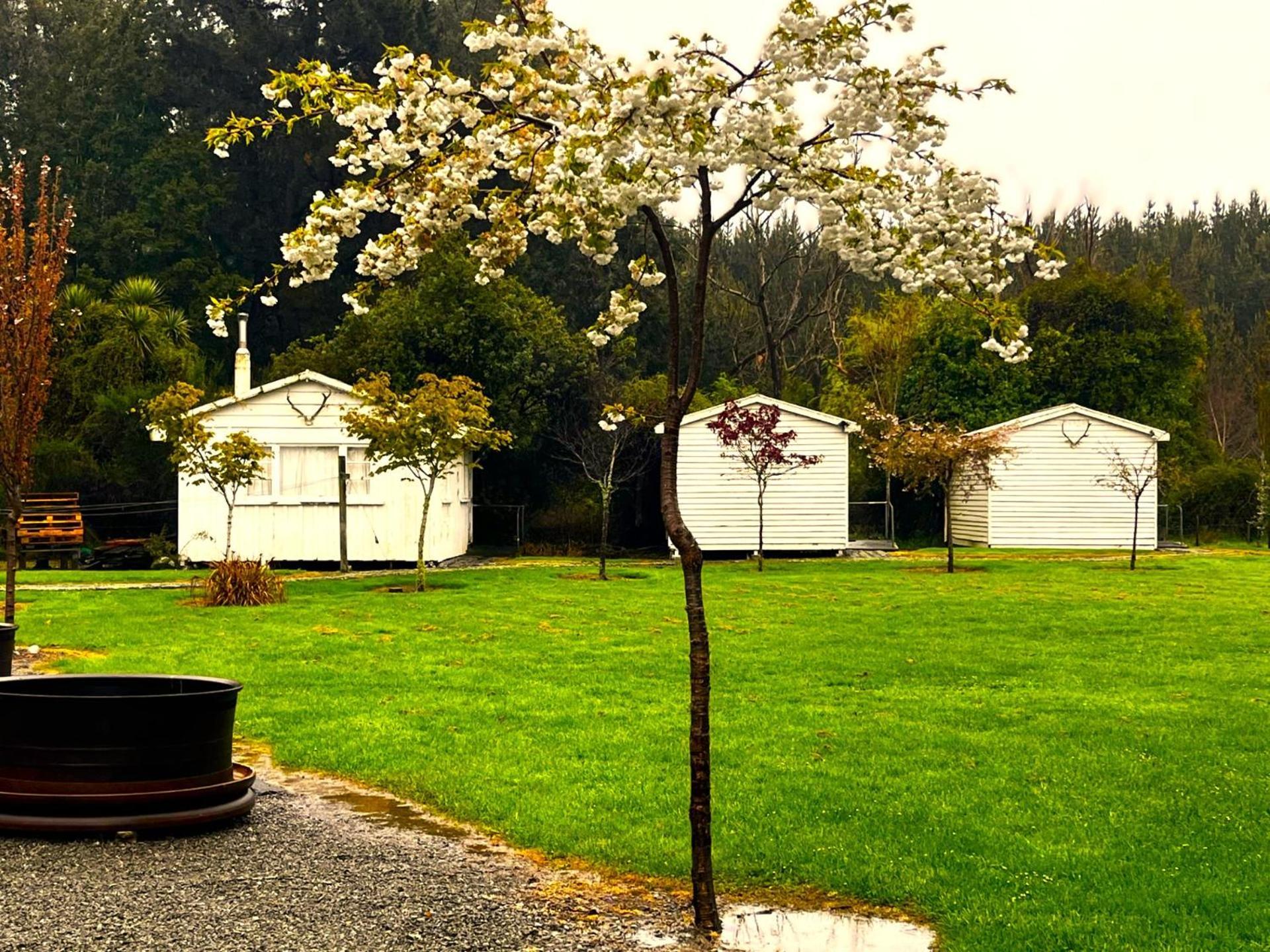 Camp Taringatura Backpackers Hostel Benmore Bagian luar foto